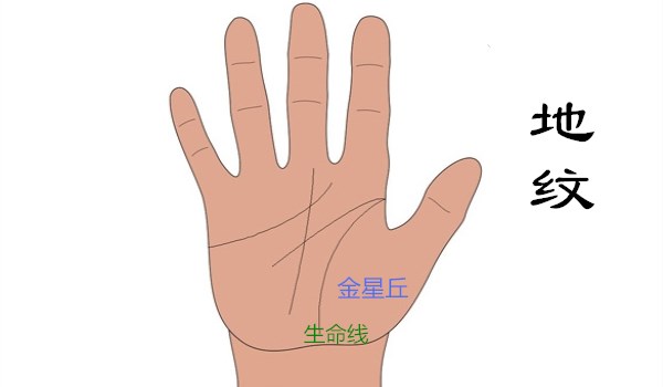 手纹线各代表什么（女人手掌纹路图解右手）-4