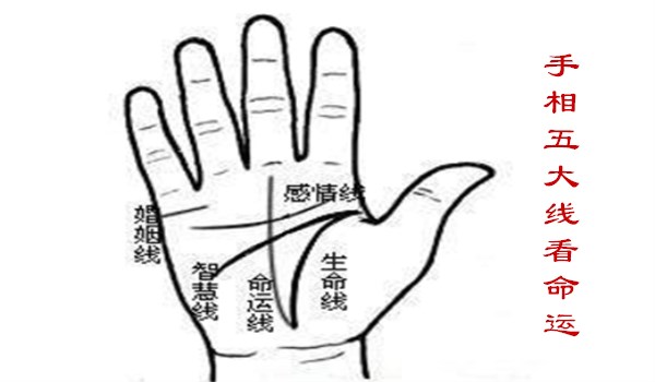 手纹线各代表什么（女人手掌纹路图解右手）-1