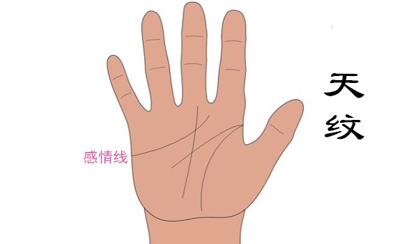 手纹线各代表什么（女人手掌纹路图解右手）-2