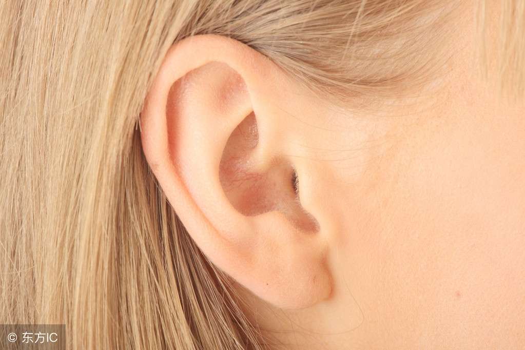 耳朵小的人命运咋样，最好的耳朵面相是什么？