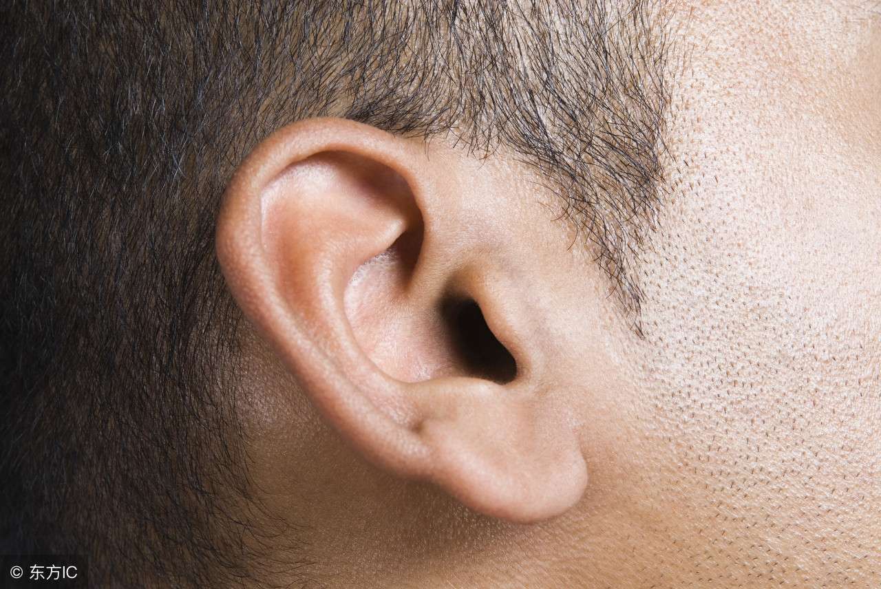 耳朵小的人命运咋样，最好的耳朵面相是什么？