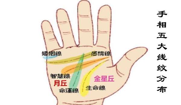 女性如何看手相算命图解，手相算命各种手掌纹路解析-5