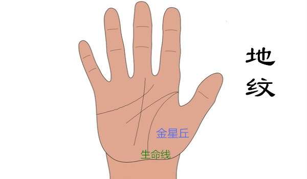 女性如何看手相算命图解，手相算命各种手掌纹路解析-4