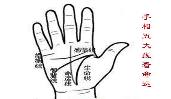 女性如何看手相算命图解，手相算命各种手掌纹路解析-1