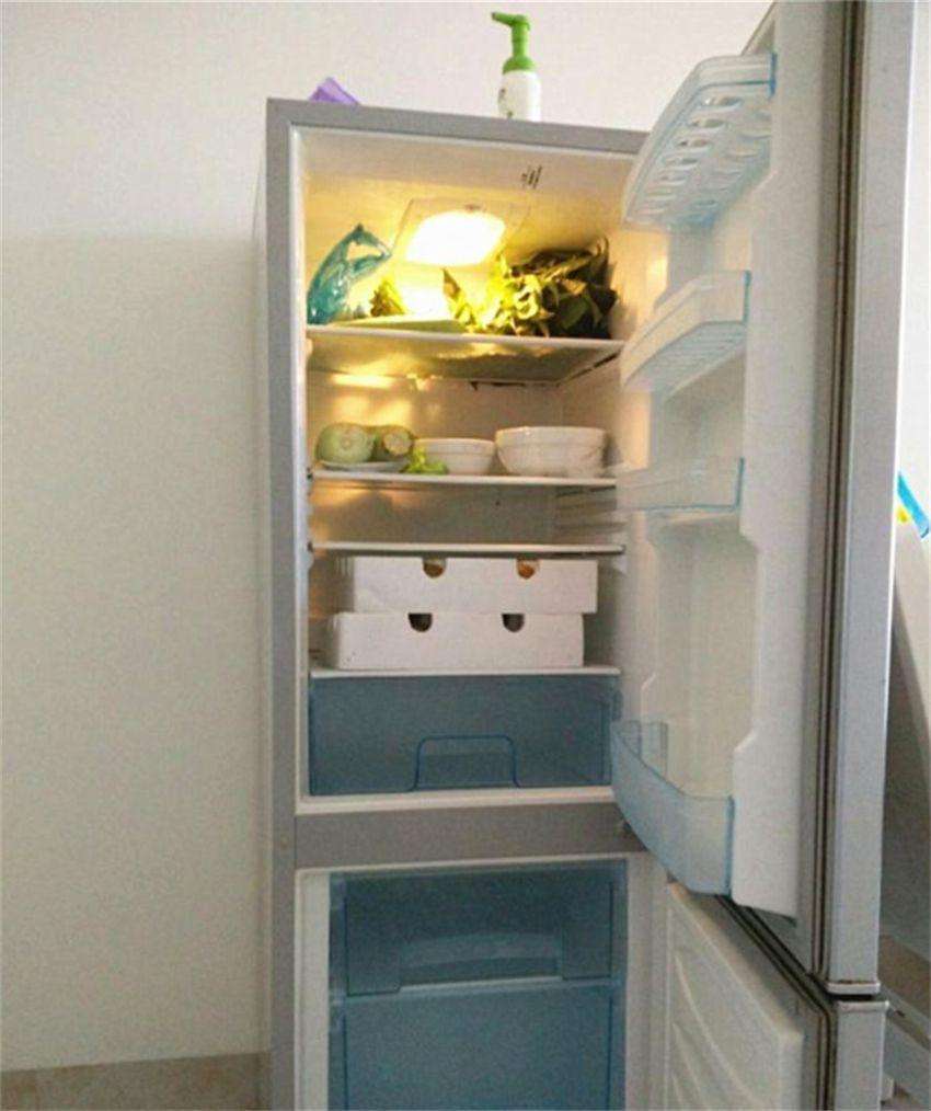 为何冬季要把冰箱的设定温度调低（冰箱冬天冷藏调多少度合适）