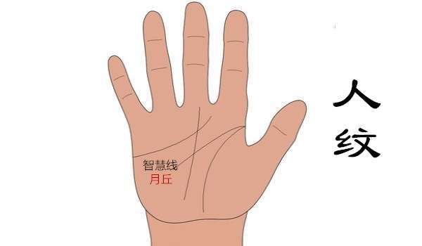 女性如何看手相算命图解，手相算命各种手掌纹路解析-3